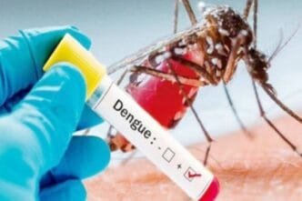 96 new Dengue cases recorded in 24 Hours