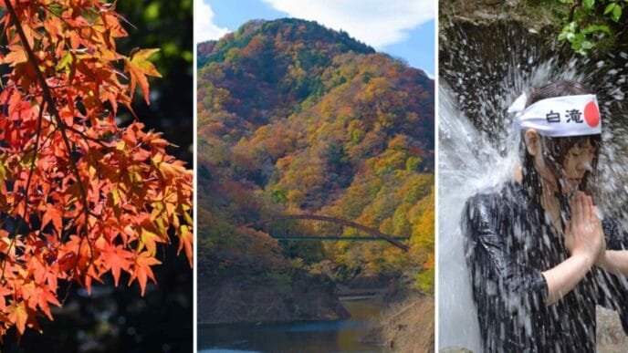 Japan's autumn colors set landscape alight