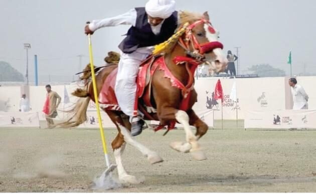 Khyber-Pakhtunkhwa celebrates culture with style, splendor