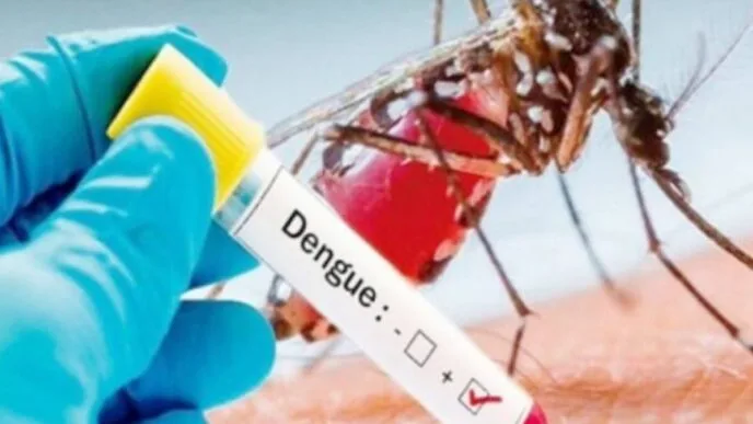 Punjab reports 110 new dengue cases