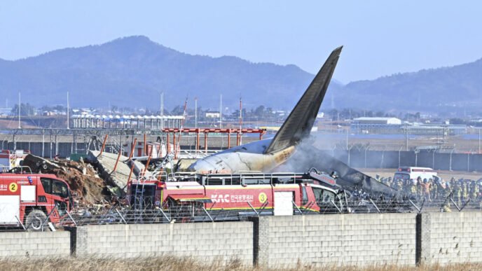 Death toll rises to 85 after plane crashes at South Korean airport