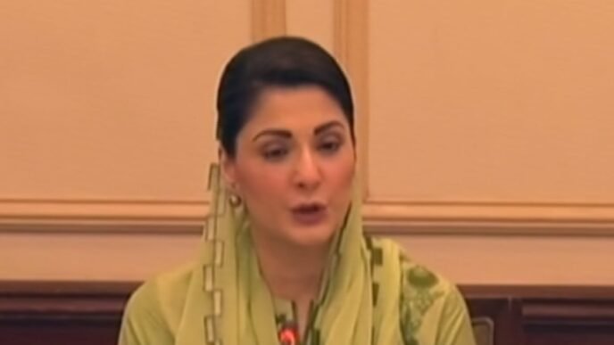 CM Maryam Nawaz introduces zero-interest loans in Punjab