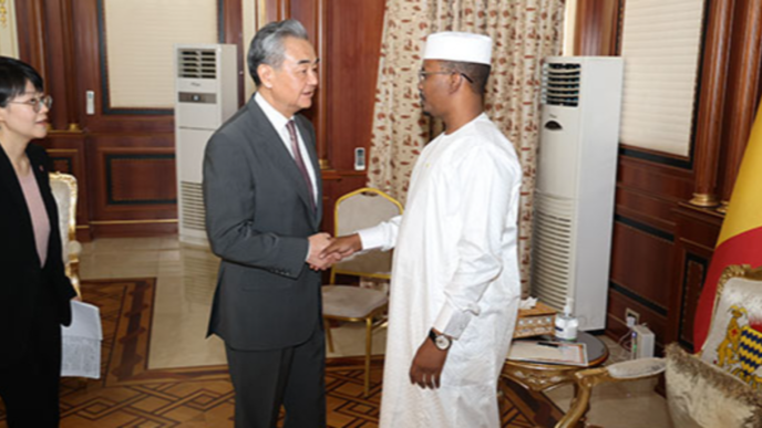 China's Wang Yi offers Africa aid against terrorism