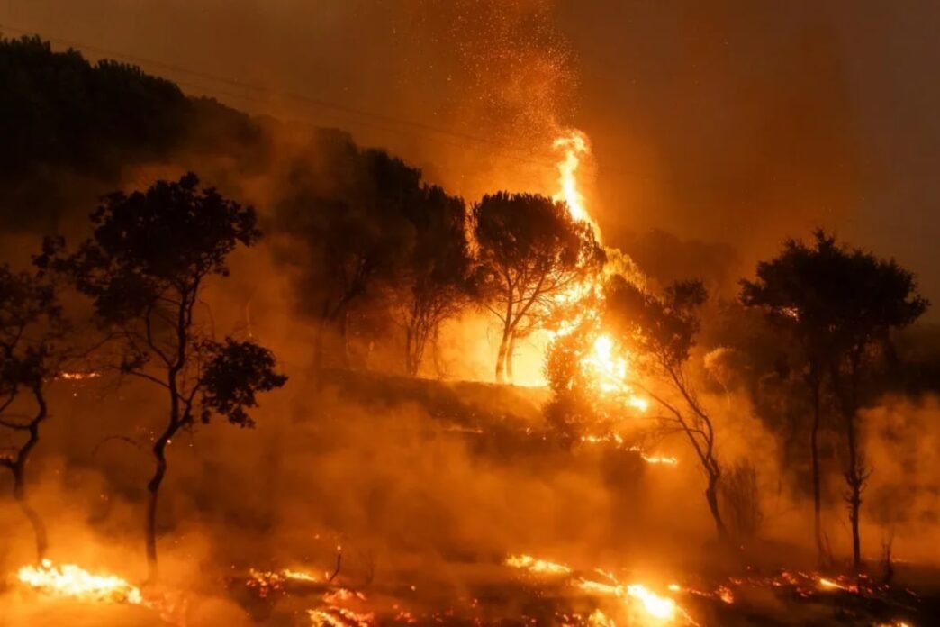 Los Angeles Wildfires Escalate, Prompting Evacuations in Hollywood