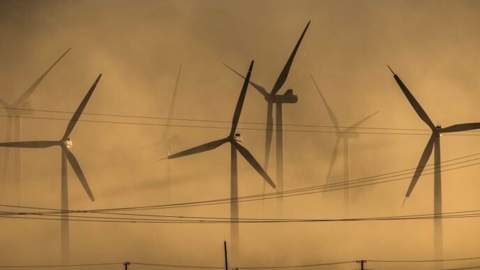 Trump's executive orders target electric vehicles and wind power