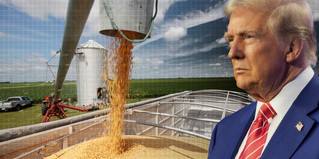 U.S.-China trade spat to dull investor sentiment on soybeans