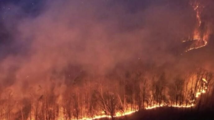 Dangerous wildfires burn across several states