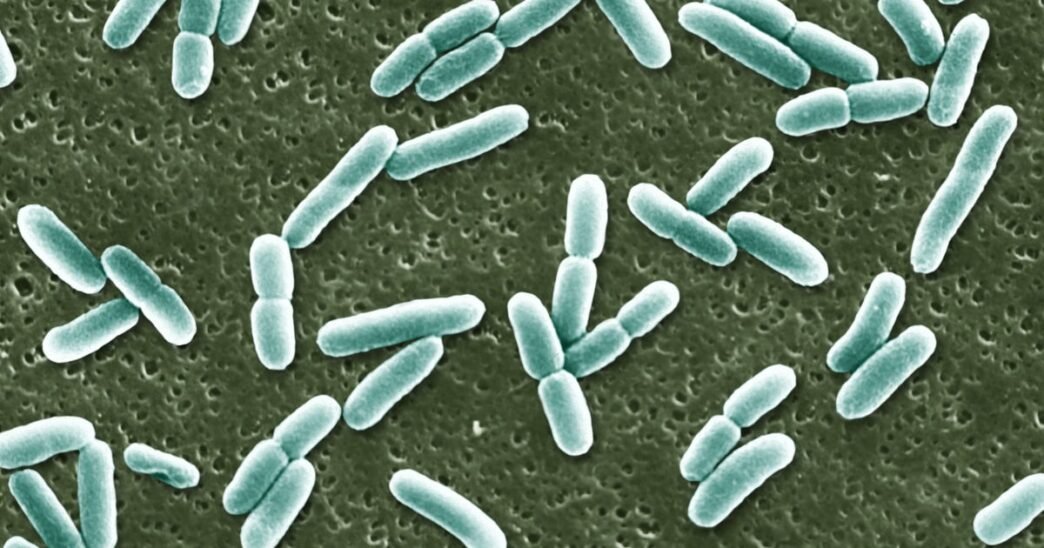 FDA approves first new antibiotic for UTIs in nearly 30 years