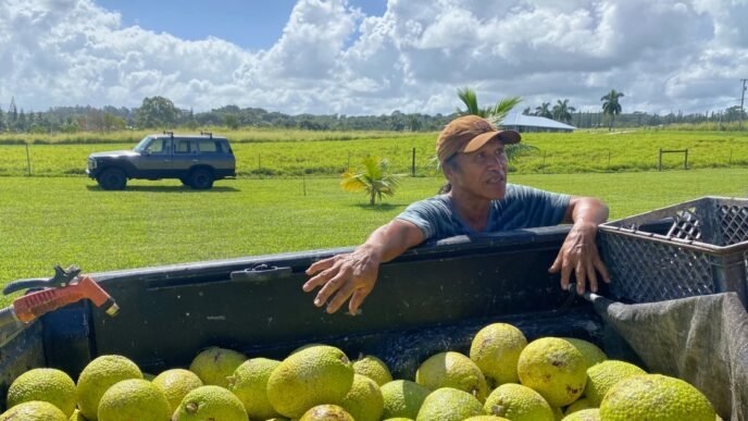 In Hawaii, where 90% of food is imported, farmers who offset imbalance now face cuts