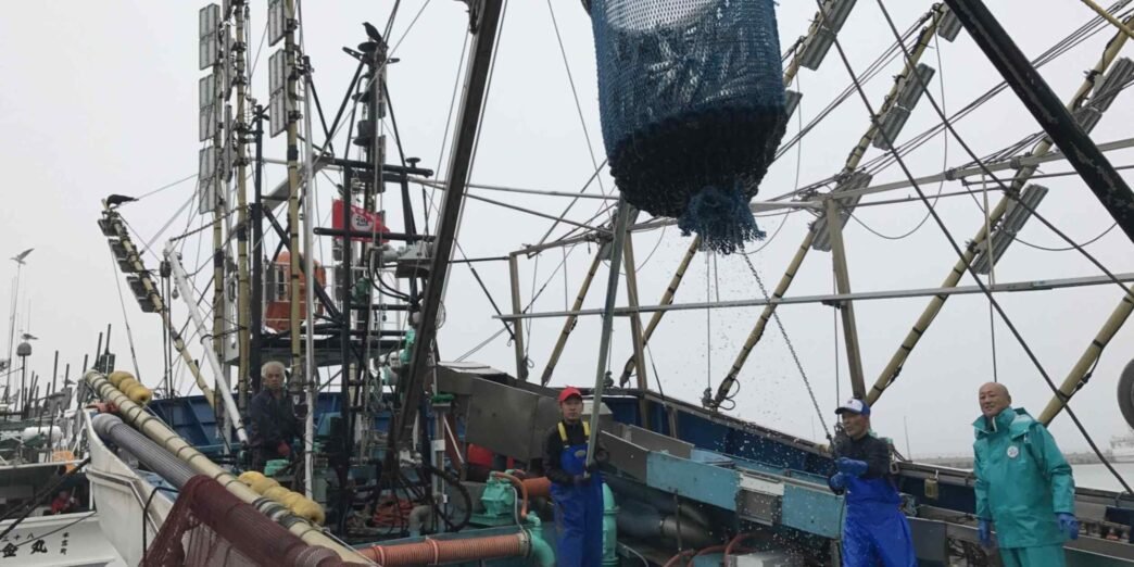 Japan, China and others agree on 10% cut to saury catch limit
