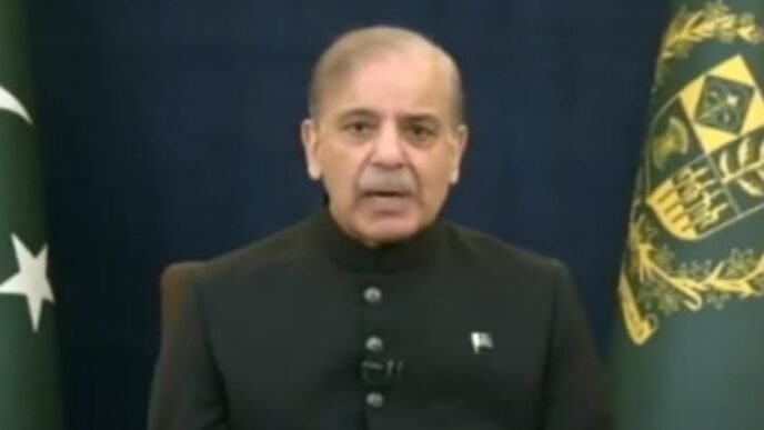 'Pakistan stands as sovereign and independent nation today,' PM Shehbaz Sharif