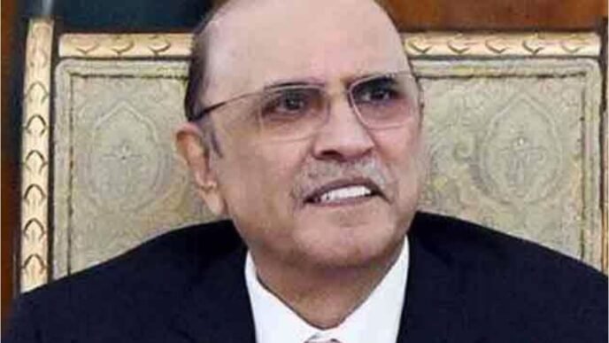 President Zardari calls for electricity, water savings