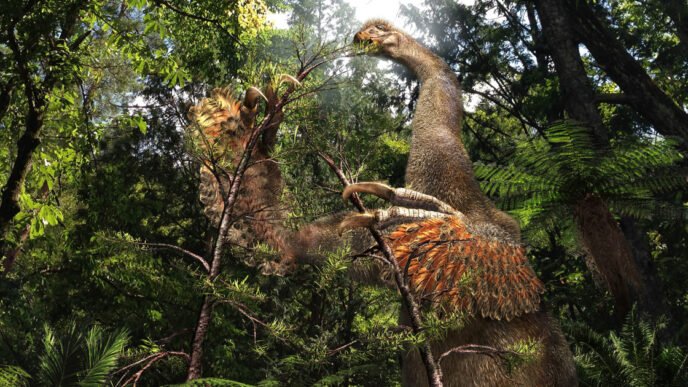 Scientists discover rare two-clawed dinosaur in Mongolia