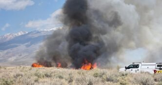 Silver Fire breaks out in central California and explodes to 1,000 acres in a day