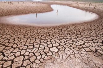 Sindh demands urgent CCI meeting to address water shortage
