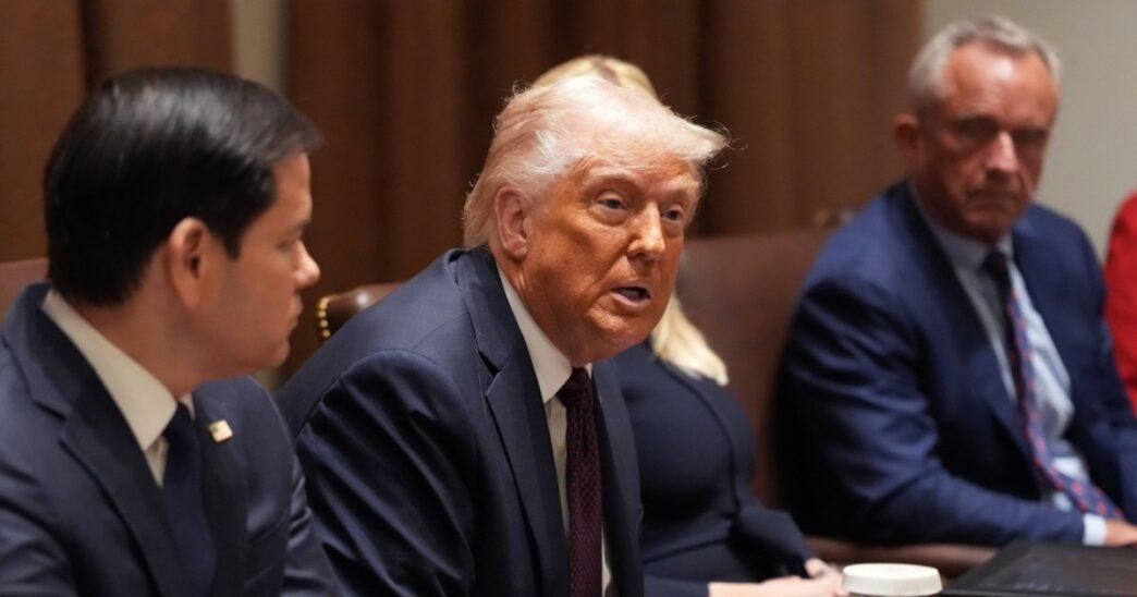 Trump discusses DOGE efforts and tariffs at Cabinet meeting with Elon Musk