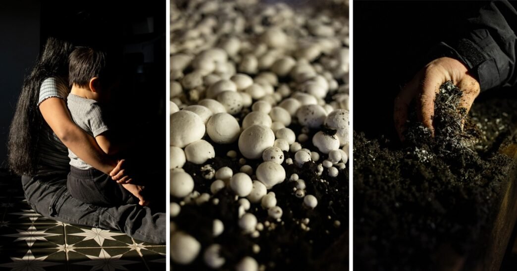Trump’s immigration policies could wreak havoc on this rural town powered by mushroom farms