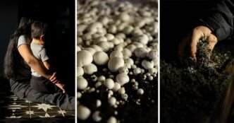 Trump’s immigration policies could wreak havoc on this rural town powered by mushroom farms