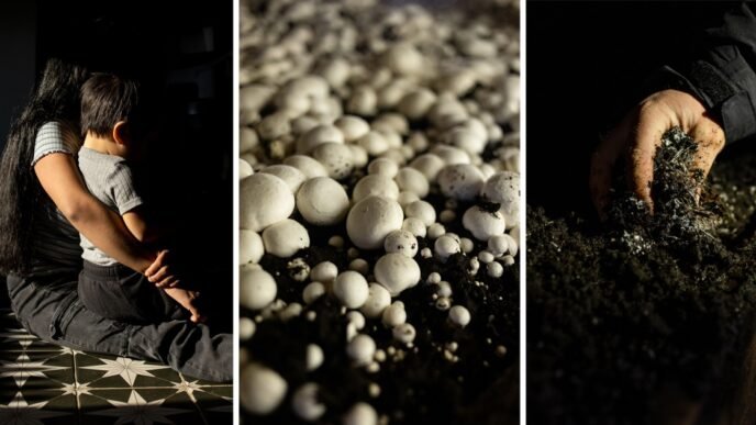 Trump’s immigration policies could wreak havoc on this rural town powered by mushroom farms