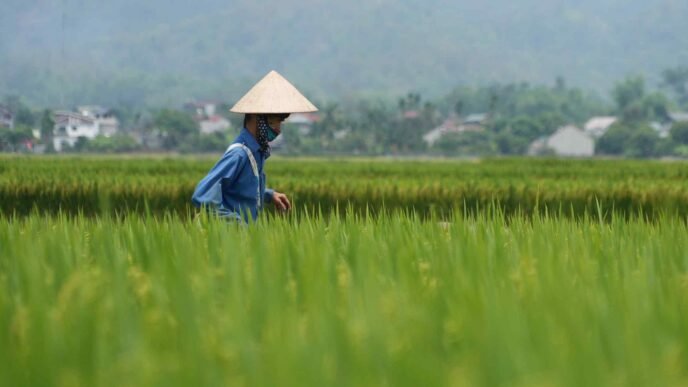 With India's help, Vietnam challenges for Thailand's tourism crown