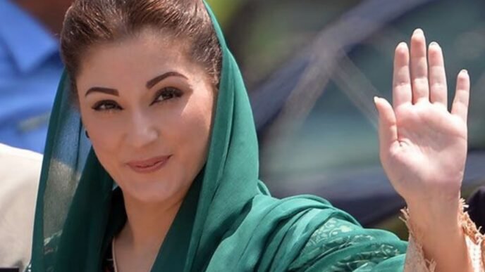 CM Maryam Nawaz invites Turkish universities to open campuses in Punjab