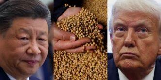 China halted orders for U.S. soybeans and corn before tariff escalation