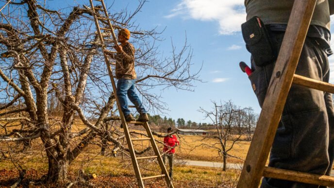 Helene-hit farmers are still scrounging for recovery funds six months on