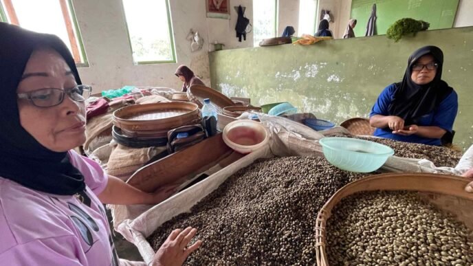 Indonesia risks becoming a net coffee importer amid production decline