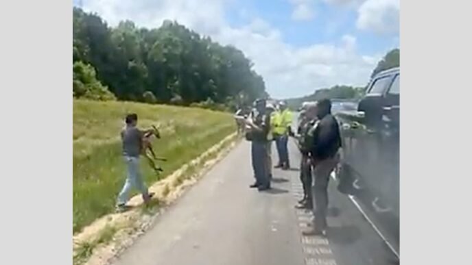 Kangaroo causes collision, stops traffic on Alabama highway