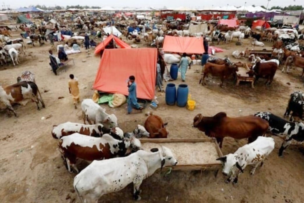 NIH issues advisory for Congo Hemorrhagic fever