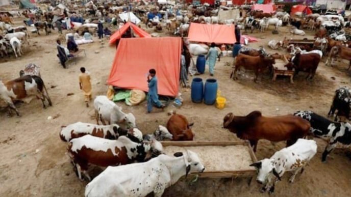 NIH issues advisory for Congo Hemorrhagic fever
