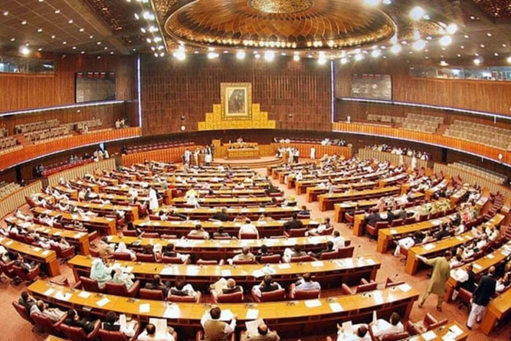 National Assembly passed resolution in solidarity with Palestine