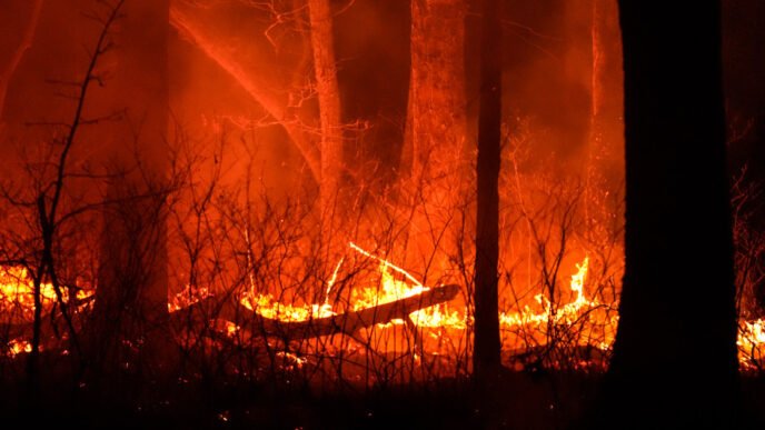 New Jersey wildfire continues to burn after thousands evacuated