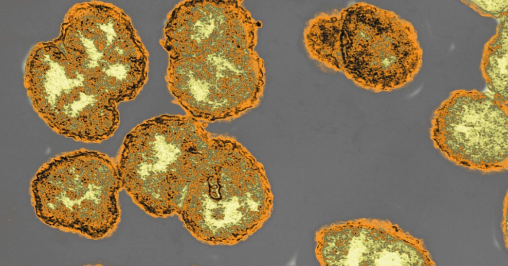 New antibiotic could be an effective treatment for drug-resistant gonorrhea