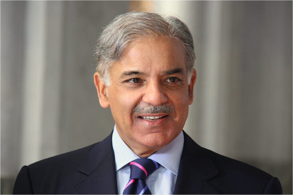 PM Shehbaz constitutes committee to improve governance