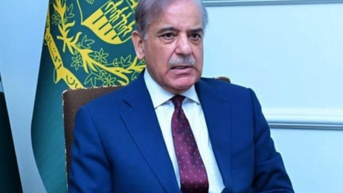 PM Shehbaz directs level playing field for industries