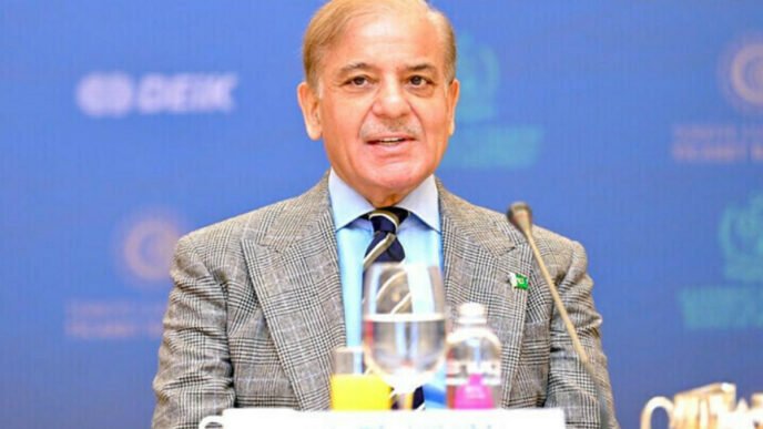 PM Shehbaz opens doors to investment in Pakistan’s trillion-dollar natural resources