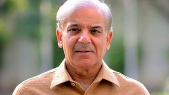 PM Shehbaz vows action against human traffickers
