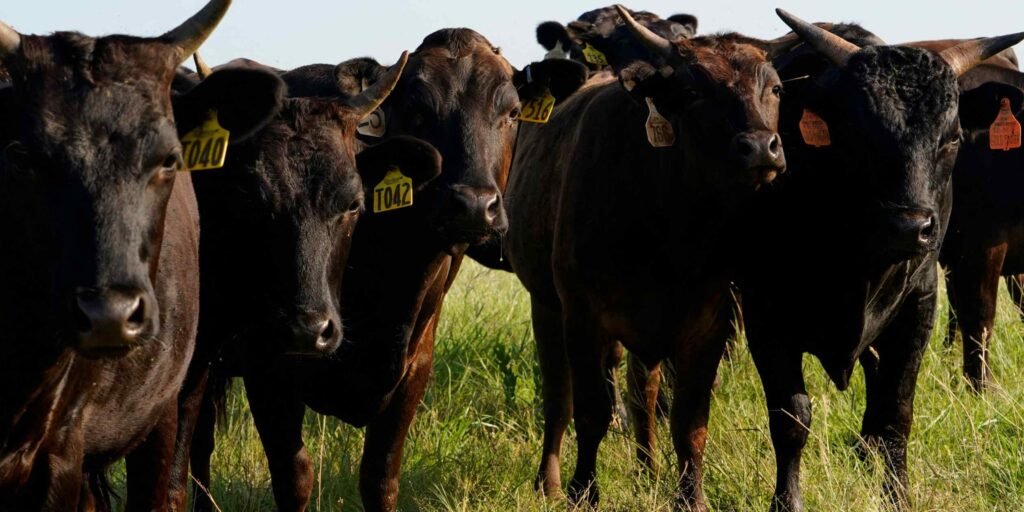 Tariff war pressures U.S. economy, from tech to beef