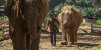 Thais rally around elephants as officials prepare for pandas