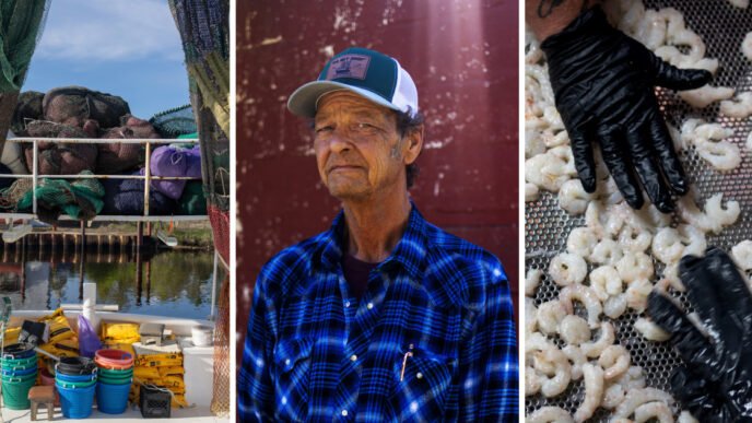 Trump’s tariffs welcomed by Gulf Coast shrimpers: ‘This industry is dying’
