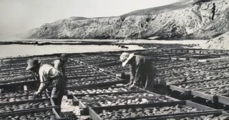 A Japanese village that helped develop California's fishing industry could become container storage