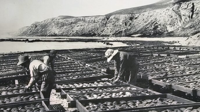 A Japanese village that helped develop California's fishing industry could become container storage