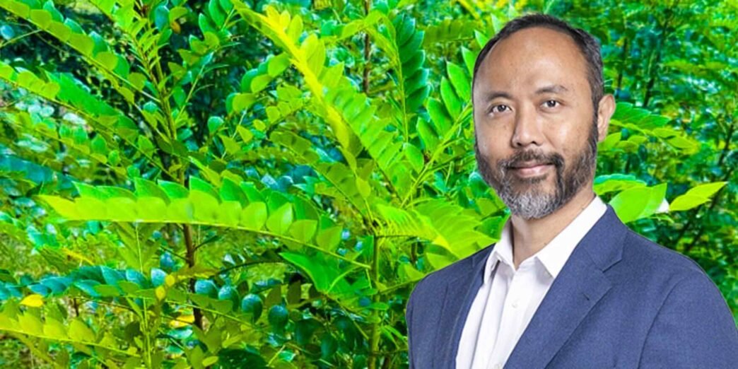 A plant that can 'mine' nickel? Malaysia sets 2026 harvest date