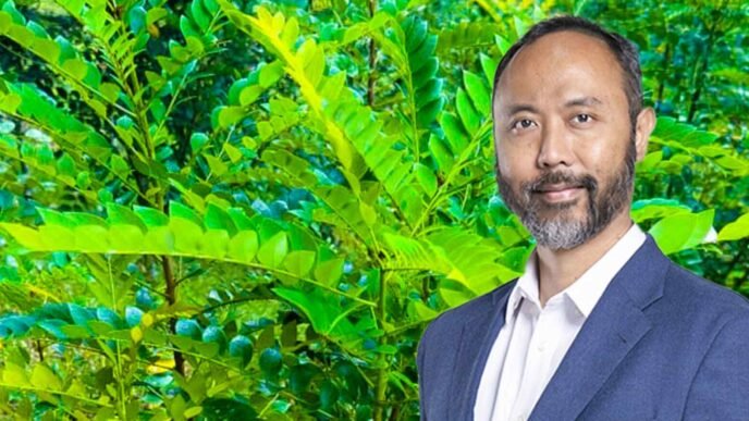 A plant that can 'mine' nickel? Malaysia sets 2026 harvest date