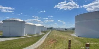 Asia must hedge its bets on US energy