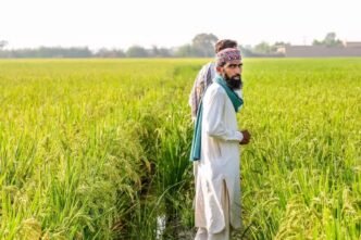 CM Punjab Maryam Nawaz approves wheat support subsidy for farmers