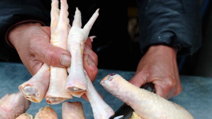 Chicken feet to fish heads: China's tariffs threaten US variety meat