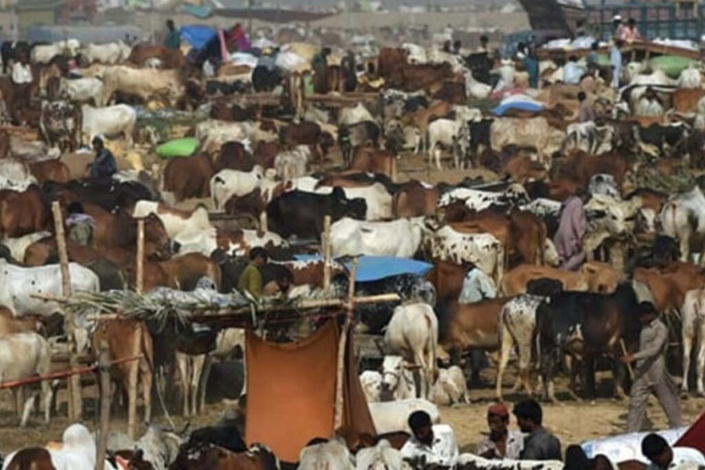 Eid-ul-Adha date announced in Pakistan- Check here
