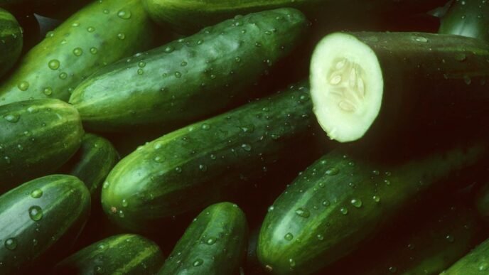 FDA recalls cucumbers due to multistate Salmonella outbreak sickening over 20 people